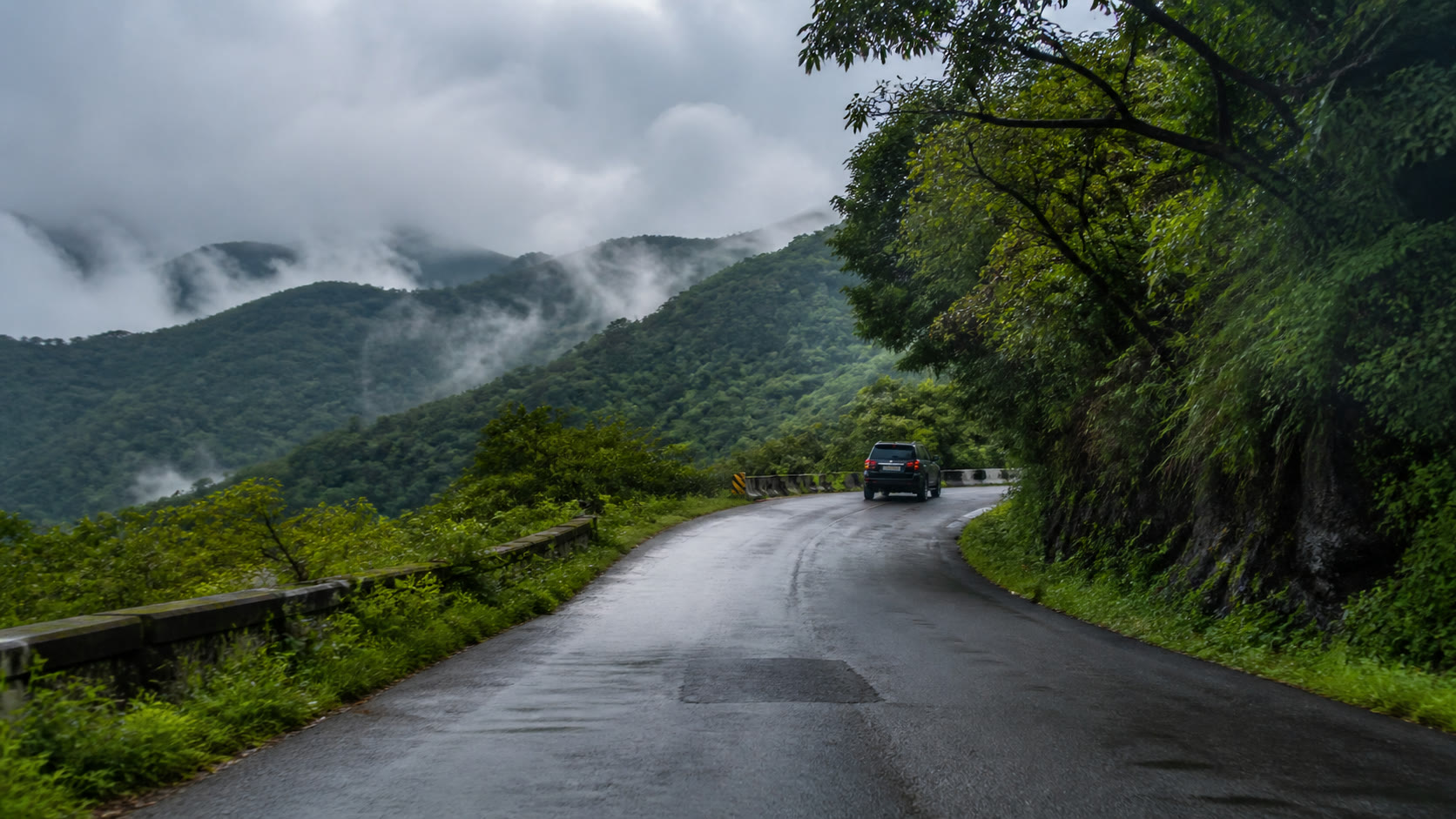 A rain-washed road winding through the misty Western Ghats